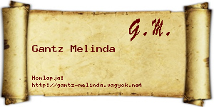 Gantz Melinda névjegykártya